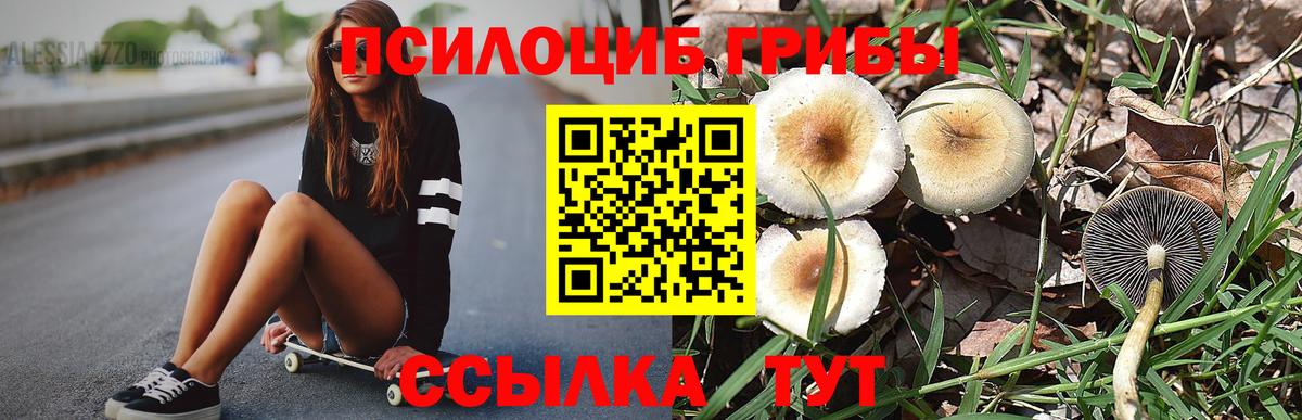 Галлюциногенные грибы MAGIC MUSHROOMS Карабулак