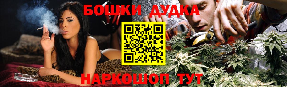 Карабулак  Бошки марихуана планчик  Марихуана семена  Вход с VPN 